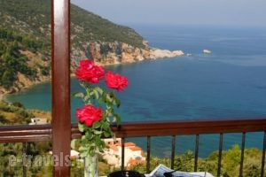 Sea View Studios_travel_packages_in_Sporades Islands_Skopelos_Skopelos Chora