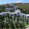 Villa Sofia_travel_packages_in_Cyclades Islands_Andros_Agios Petros