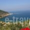 Sea View Studios_holidays_in_Hotel_Sporades Islands_Skopelos_Skopelos Chora