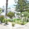 Blue Nest_lowest prices_in_Hotel_Dodekanessos Islands_Kos_Kos Rest Areas