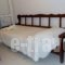 Dimitra Family Hotel_holidays_in_Apartment_Peloponesse_Ilia_Skafidia
