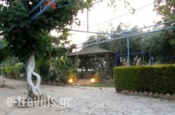 Dimitra Family Hotel_s __1