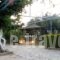 Dimitra Family Hotel_accommodation_in_Apartment_Peloponesse_Ilia_Skafidia