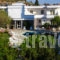 Dimitra Sun_best deals_Hotel_Dodekanessos Islands_Rhodes_Archagelos