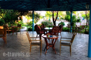 Dimitra Sun_accommodation_in_Hotel_Dodekanessos Islands_Rhodes_Archagelos