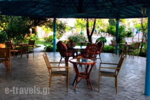 Dimitra Sun_accommodation_in_Hotel_Dodekanessos Islands_Rhodes_Archagelos