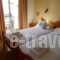 Alexandris_holidays_in_Hotel_Piraeus Islands - Trizonia_Spetses_Spetses Chora