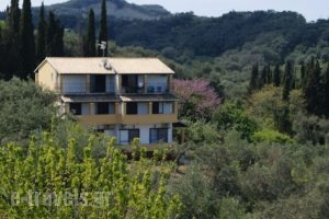 Villa Bouka_travel_packages_in_Ionian Islands_Corfu_Afionas