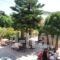 Topakas House_holidays_in_Hotel_Aegean Islands_Chios_Chios Chora