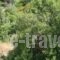 Angela_holidays_in_Hotel_Central Greece_Evia_Edipsos
