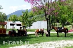 Ninemia Bungalows Hotel_s __1