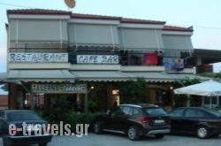 Galanos_s __1