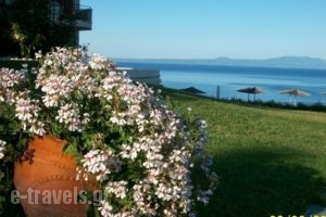 Aegean Blue Studios_best deals_Hotel_Macedonia_Halkidiki_Kassandreia