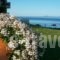 Aegean Blue Studios_best deals_Hotel_Macedonia_Halkidiki_Kassandreia