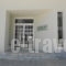 Jasmine_travel_packages_in_Dodekanessos Islands_Kos_Kos Chora