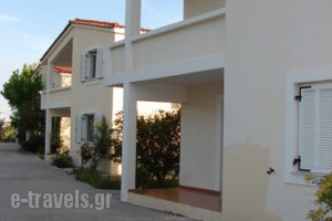 Rosmarinus studios_holidays_in_Room_Aegean Islands_Samos_Potokaki