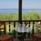 Villa Kalliopi_best prices_in_Villa_Macedonia_Halkidiki_Poligyros