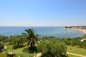 Villa Kalliopi_best deals_Villa_Macedonia_Halkidiki_Poligyros