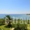 Villa Kalliopi_best deals_Villa_Macedonia_Halkidiki_Poligyros
