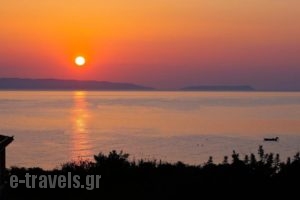 Elena'S Family Apartments_holidays_in_Apartment_Peloponesse_Arcadia_Leonidio