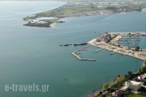 Zikas Hotel_holidays_in_Hotel_Epirus_Preveza_Preveza City