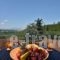 Achillion Villas_best deals_Villa_Ionian Islands_Corfu_Corfu Rest Areas