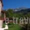 _lowest prices_in_Hotel_Epirus_Arta_Kipseli