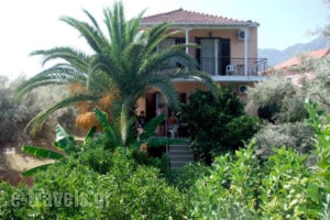 Zacharogianni Studios_accommodation_in_Hotel_Ionian Islands_Lefkada_Vasiliki