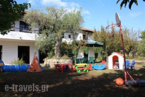 Doreta Studios_best prices_in_Hotel_Aegean Islands_Thasos_Thasos Chora