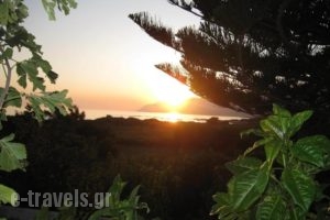 Oasis Apartments_holidays_in_Apartment_Crete_Chania_Sfakia