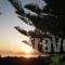 Oasis Apartments_travel_packages_in_Crete_Chania_Sfakia