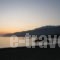 Oasis Apartments_best prices_in_Apartment_Crete_Chania_Sfakia