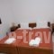 Nanos Studios_best prices_in_Apartment_Epirus_Preveza_Parga