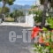 Blue Nest_best prices_in_Hotel_Dodekanessos Islands_Kos_Kos Rest Areas