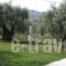 Xanthoula Studios_holidays_in_Hotel_Aegean Islands_Thasos_Thasos Chora