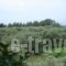 Xanthoula Studios_best prices_in_Hotel_Aegean Islands_Thasos_Thasos Chora