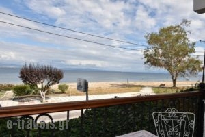 Argo_best prices_in_Apartment_Macedonia_Halkidiki_Nea Potidea
