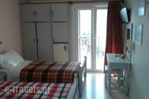 Holidays Pension_accommodation_in_Room_Ionian Islands_Lefkada_Vasiliki