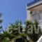 Hotel Vicky_lowest prices_in_Hotel_Cyclades Islands_Paros_Piso Livadi