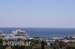 Hotel Vicky_s __1