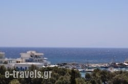 Hotel Vicky in Piso Livadi, Paros, Cyclades Islands