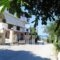 Adonis Studios_best prices_in_Apartment_Ionian Islands_Zakinthos_Alikanas