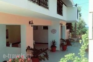 Adonis Studios_lowest prices_in_Apartment_Ionian Islands_Zakinthos_Alikanas