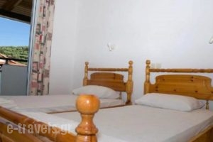 Adonis Studios_accommodation_in_Apartment_Ionian Islands_Zakinthos_Alikanas