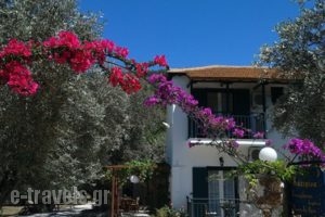 Katerina Pension_travel_packages_in_Sporades Islands_Skopelos_Panormos