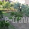 Loula_best prices_in_Hotel_Central Greece_Fthiotida_Kamena Vourla