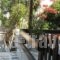 Batistas Apartments_lowest prices_in_Apartment_Cyclades Islands_Paros_Naousa