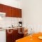 Artemis Apartments_best prices_in_Apartment_Crete_Chania_Stalos