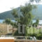 Galini Studios_best deals_Apartment_Macedonia_Halkidiki_Toroni