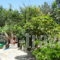 Villa Fenia_travel_packages_in_Cyclades Islands_Amorgos_Aegiali